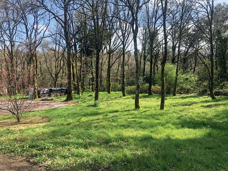 La commune de Bohal (56) a fait valider son propre plan de travaux de débroussaillement par la préfecture.