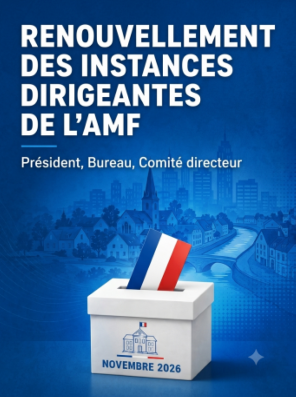 La commission électorale de l'AMF validera les candidatures, le 10 septembre, et les portera à la connaissance des adhérents. La commission électorale de l'AMF validera les candidatures, le 10 septembre, et les portera à la connaissance des adhérents.