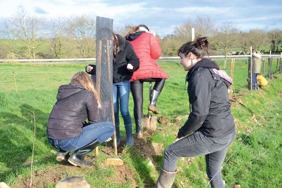 Lors d'un chantier participatif en 2022, des collégiens de Martigné-Ferchaud ont planté des haies. Léa Legentilhomme, technicienne bocage
(au 1er plan), les a guidés. Lors d'un chantier participatif en 2022, des collégiens de Martigné-Ferchaud ont planté des haies. Léa Legentilhomme, technicienne bocage
(au 1er plan), les a guidés.