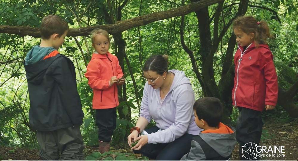 Pour les exercices de calcul, les élèves utilisent les ressources de la forêt (feuilles, bâtons...). Pour les exercices de calcul, les élèves utilisent les ressources de la forêt (feuilles, bâtons...).