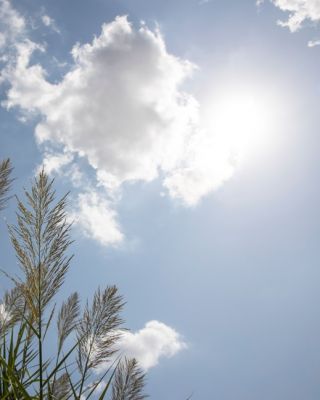 Canicules : la facture de l'été 2026 s'élèverait à plus de 16 milliards d'euros, selon une mission parlementaire