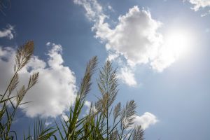 Canicules : la facture de l'été 2026 s'élèverait à plus de 16 milliards d'euros, selon une mission parlementaire