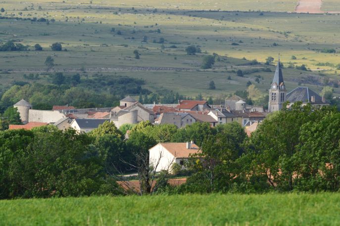 Revitalisation du commerce en milieu rural : les leviers d’action à la disposition des maires